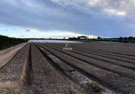 Rustico Land - Brescos - Santo André Lagoon - Melides Lagoon