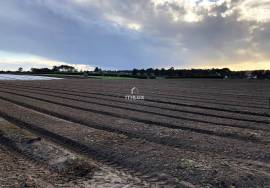 Rustico Land - Brescos - Santo André Lagoon - Melides Lagoon