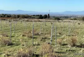 Farm land Sa Cavana in Soleminis, Sardinia