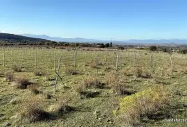 Farm land Sa Cavana in Soleminis, Sardinia