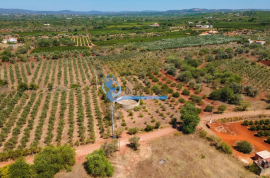 Mixed land with ruin for sale in Torreirão- S.B. Messines