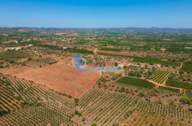 Mixed land with ruin for sale in Torreirão- S.B. Messines