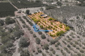 Mixed land with ruin for sale in Torreirão- S.B. Messines