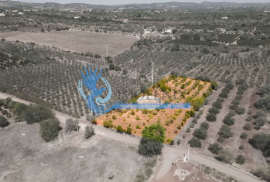 Mixed land with ruin for sale in Torreirão- S.B. Messines