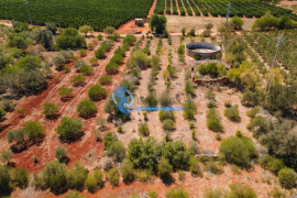 Mixed land with ruin for sale in Torreirão- S.B. Messines