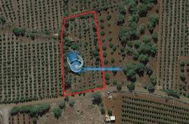 Mixed land with ruin for sale in Torreirão- S.B. Messines