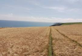 Excellent Plot of land for sale in Kinsale County Cork
