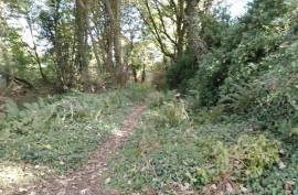 Excellent Plot of land for sale in Kinsale County Cork