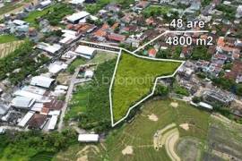 Canggu -Pererenan Investment Gem: Serene 4800 Sqm Leasehold Land with Luxe Development Potential