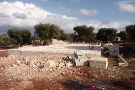 Interesting plot of land with sea view and centuries-old olive grove