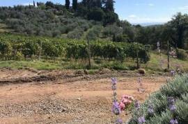 AZ140 - Azienda agricola vitivinicola biologica di 248 Ha con casale e cantina