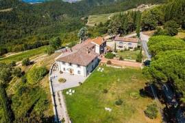 AZ228 - wine-growing and wine-producing farm with estates, 120-hectares of land, historic villa in hunting reserve