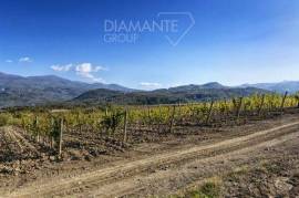 Landwirtschaftlicher betrieb in Castel Del Piano Grosseto - zone Montenero d'Orcia zu verkaufen