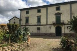 AZ95 - 315 hectares wine farm with manor house, outbuildings and wine cellar