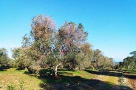 Interesting land with sea view in the countryside of Carovigno