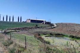 Azienda agricola di 125 ha con fabbricati, Asciano e Montalcino, Siena