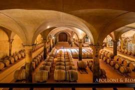 Chianti Classico vineyards with ancient hamlet, Siena - Tuscany