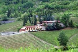 Biodynamic winery, Alessandria – Piedmont