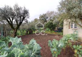 House with independent entrances, patio and backyard next to the center of the village of Avelar