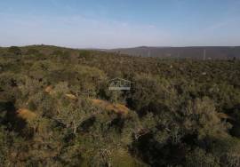 Enormous plot of land (369.000m2) with a ruin, close to Loulé