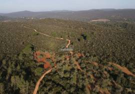 Enormous plot of land (369.000m2) with a ruin, close to Loulé