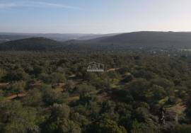 Enormous plot of land (369.000m2) with a ruin, close to Loulé