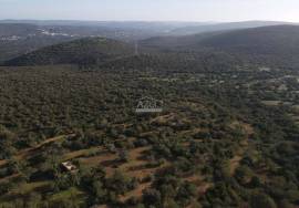 Enormous plot of land (369.000m2) with a ruin, close to Loulé