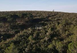 Enormous plot of land (369.000m2) with a ruin, close to Loulé