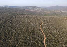 Enormous plot of land (369.000m2) with a ruin, close to Loulé