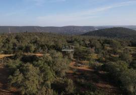 Enormous plot of land (369.000m2) with a ruin, close to Loulé