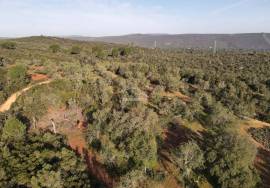 Enormous plot of land (369.000m2) with a ruin, close to Loulé