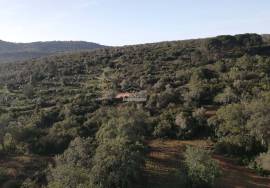 Enormous plot of land (369.000m2) with a ruin, close to Loulé