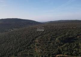 Enormous plot of land (369.000m2) with a ruin, close to Loulé