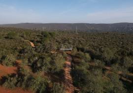 Enormous plot of land (369.000m2) with a ruin, close to Loulé