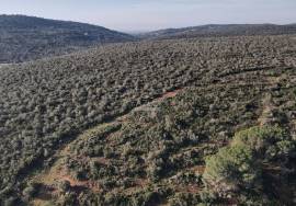 Enormous plot of land (369.000m2) with a ruin, close to Loulé