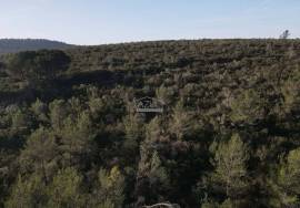 Enormous plot of land (369.000m2) with a ruin, close to Loulé