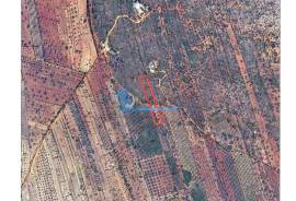 Rustic land with 3960m² located in Cabeça Aguda- Paderne