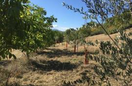 5 Bed Renovated Farmhouse For Sale In Palmiano Marche Italy 5 Bed Renovated Farmhouse For Sale In Palmiano Marche Italy
