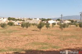 Land for sale in Pinoso