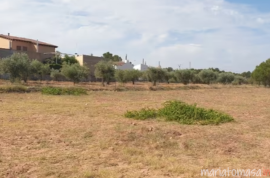 Land for sale in Pinoso