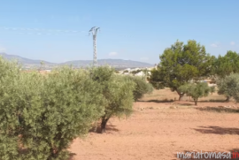 Land for sale in Pinoso