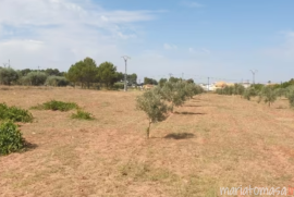 Land for sale in Pinoso