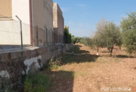Land for sale in Pinoso