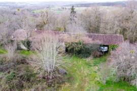 - Farm - Aquitaine - For Sale - 11062-BGC