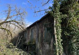 - Farm - Aquitaine - For Sale - 11062-BGC