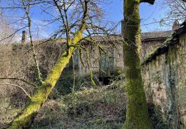 - Farm - Aquitaine - For Sale - 11062-BGC