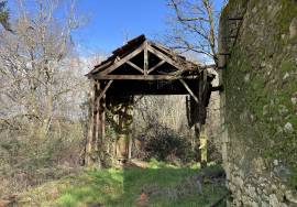 - Farm - Aquitaine - For Sale - 11062-BGC