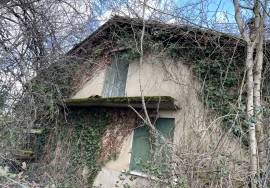 - Farm - Aquitaine - For Sale - 11062-BGC