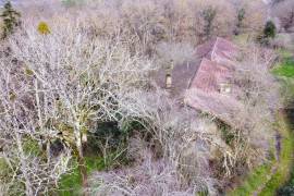 - Farm - Aquitaine - For Sale - 11062-BGC