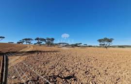 Land Reguengos de Monsaraz